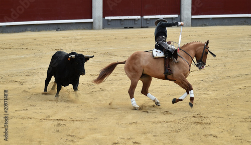 bullfight in spain with horse in bullring