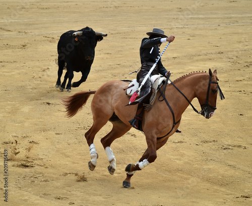 bullfight in spain with horse in bullring
