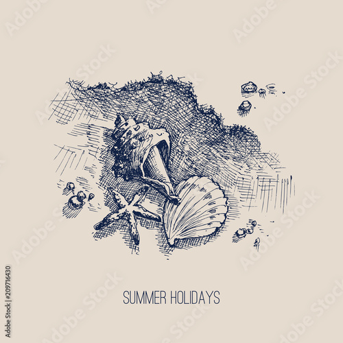 Sea shells on the beach summer background