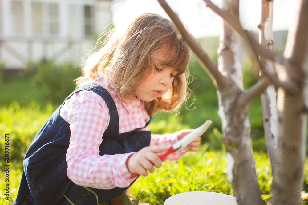 Fototapeta premium Whitewash of the tree trunk, little girl working in the garden.