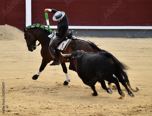 bullfight in spain with horse in bullring