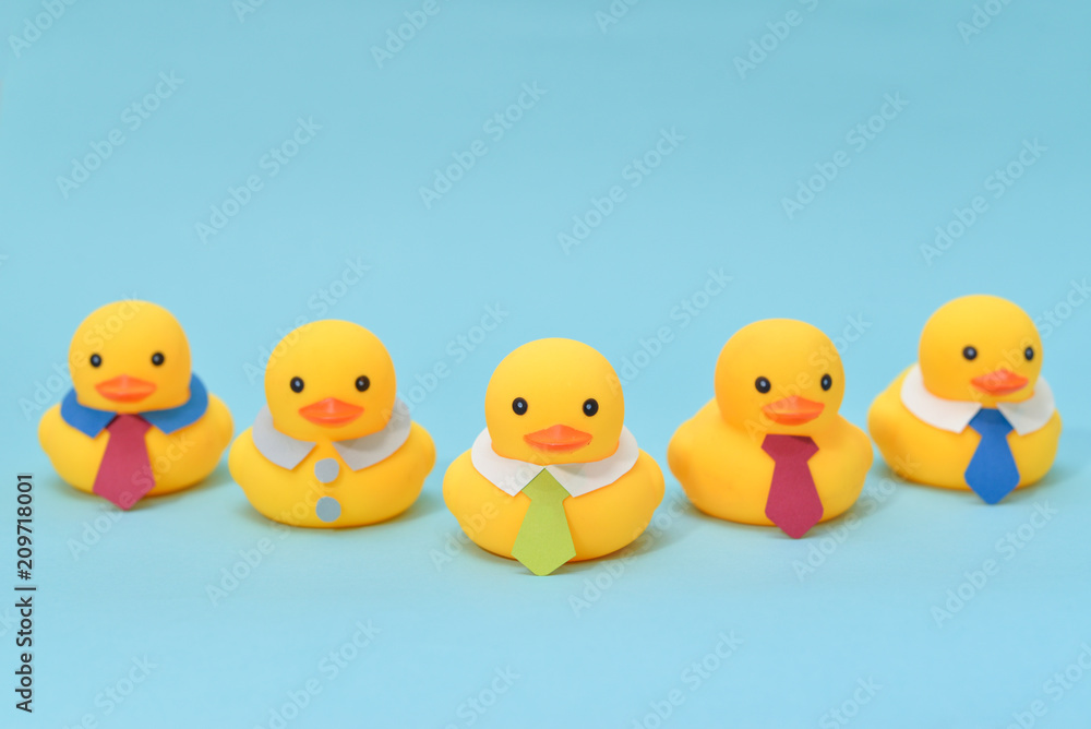Office life concept, rubber ducks are waring neckties, ready to work Office life concept, rubber ducks are waring neckties, ready to work