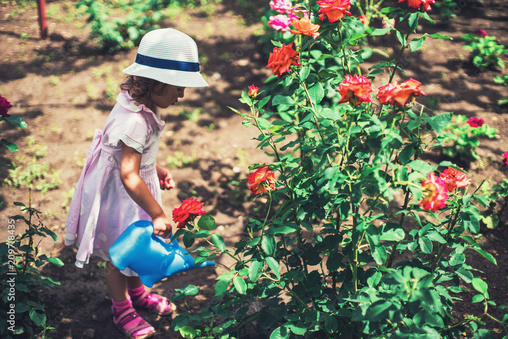 Cute little girl watering rose flowers in the garden