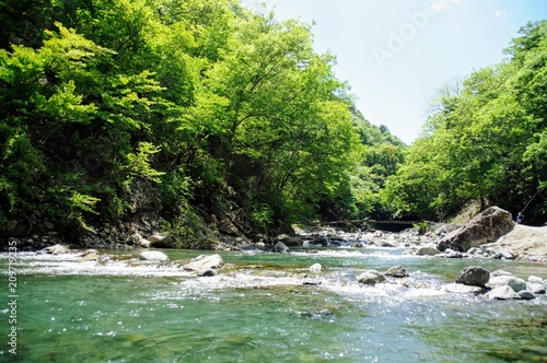日本の渓流