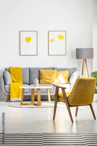 Posters with yellow flowers hanging above a gray couch in bright living room interior with retro armchair and wooden coffee table. Real photo