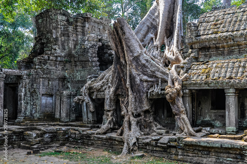 Preah Khan Temple in Angkor Wat, Cambodia