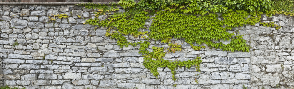 Rustikale Natursteinmauer mit Weinlaub - obrazy, fototapety, plakaty 