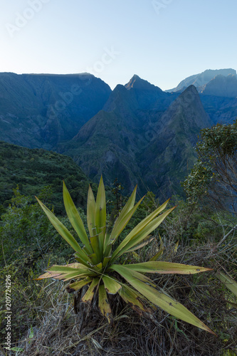 Cap Noir? Dos d'Ane in La Possession, Reunion Island photo