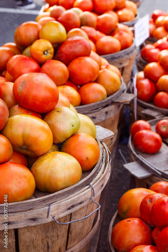 Fresh Tomatoes at an Outdoor Farmer's Market