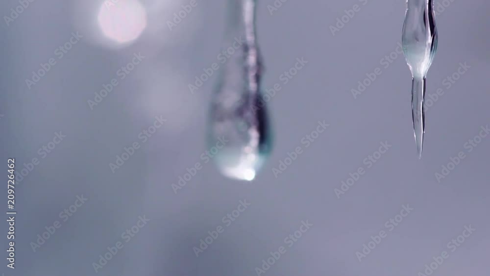 Macro slow motion video of pure water drop dripping from small icycles. Macro slow motion video of pure water drop dripping from small icycles.