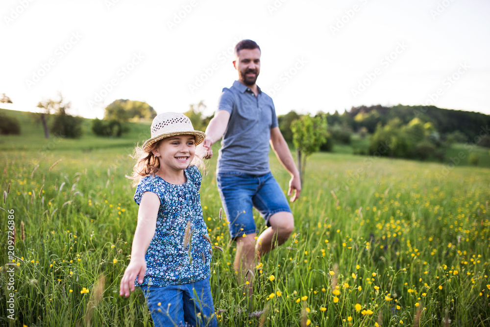 Fototapeta premium Father with a small daughter running in spring nature.