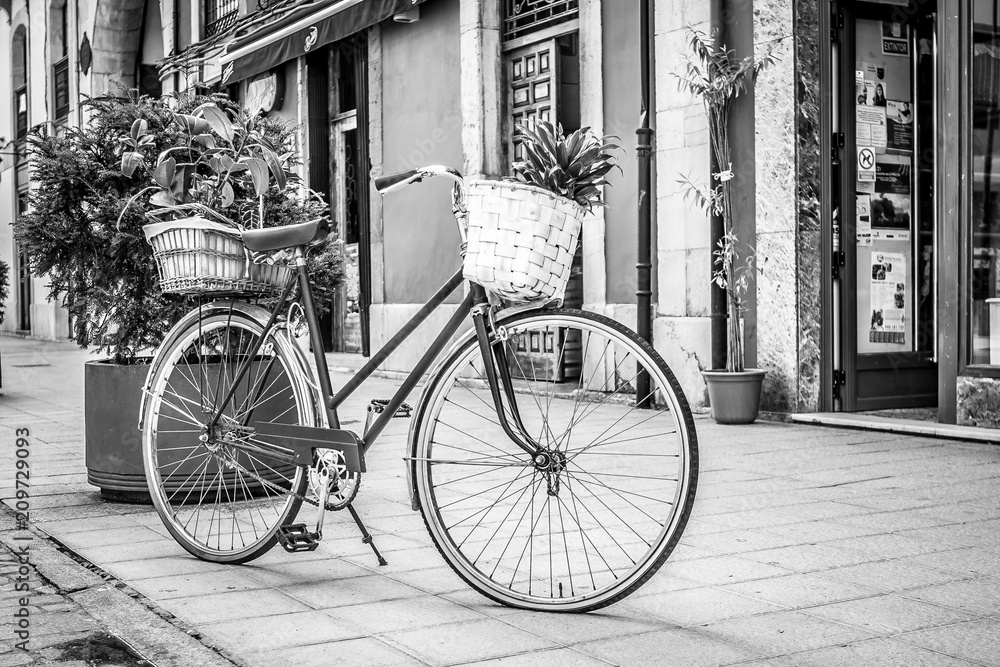Bicycle in black and whiteBicycle in black and white with baskets