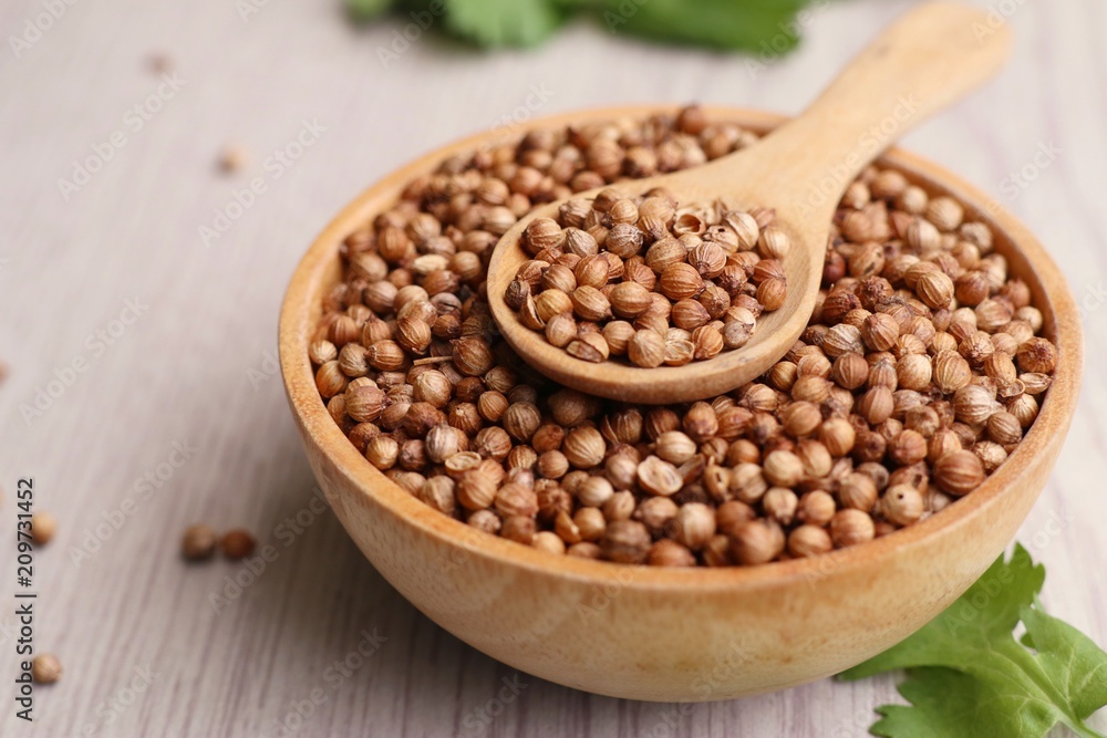 Coriander seeds and fresh Coriander seeds and fresh