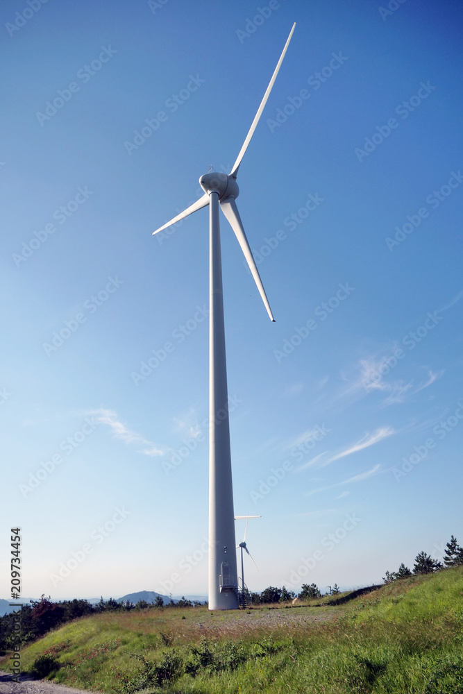 Fototapeta premium Wind blades that rotate thanks to the force of the wind and generate electricity in a sustainable way to the planet. Concept of: renewable energy, love for nature and the planet.
