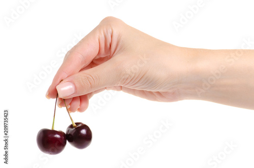 Cherries in hands on white background isolation