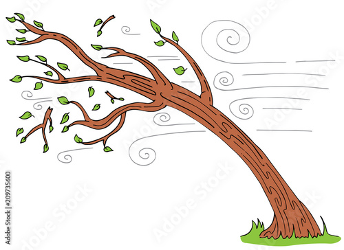 Windy Day Tree Bending Broken Branches