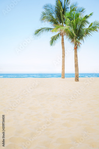 Abstract photo of palm tree on empty beach