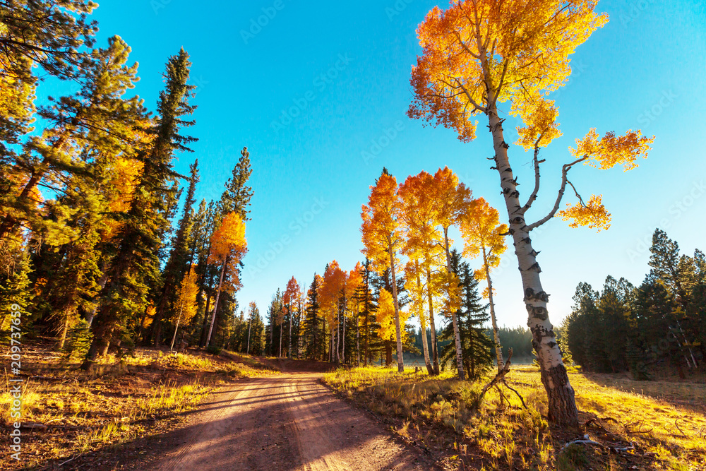 Obraz premium Autumn season