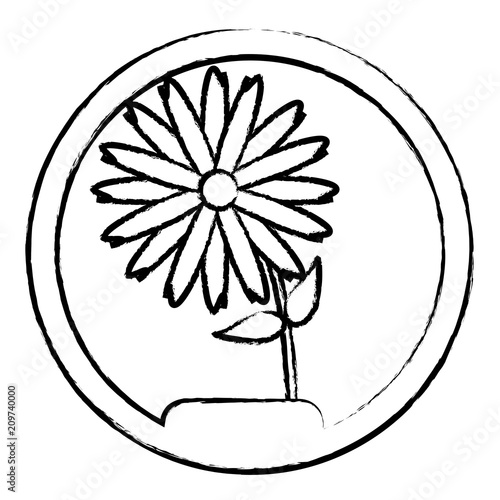 decorative circular frame with beautiful flower icon over white background, vector illustration