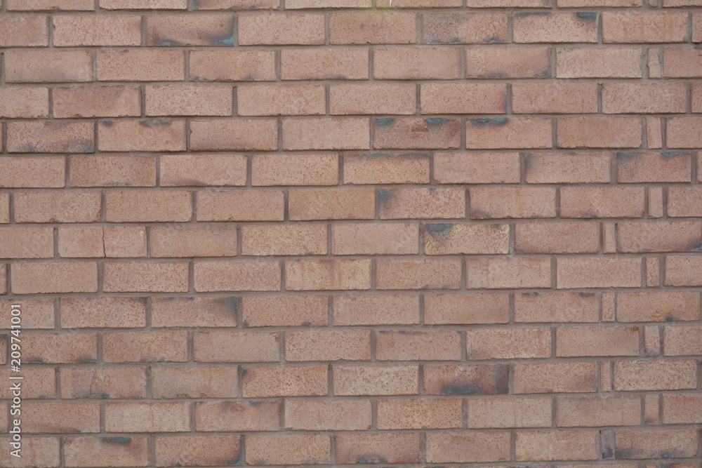 Obraz premium texture background of bricks