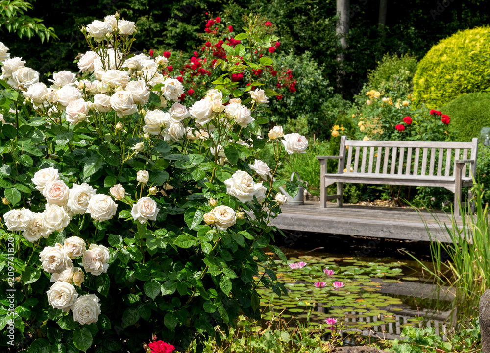 Obraz premium Rosengarten