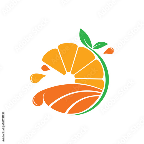 Original Orange Fruit Juice Pulp