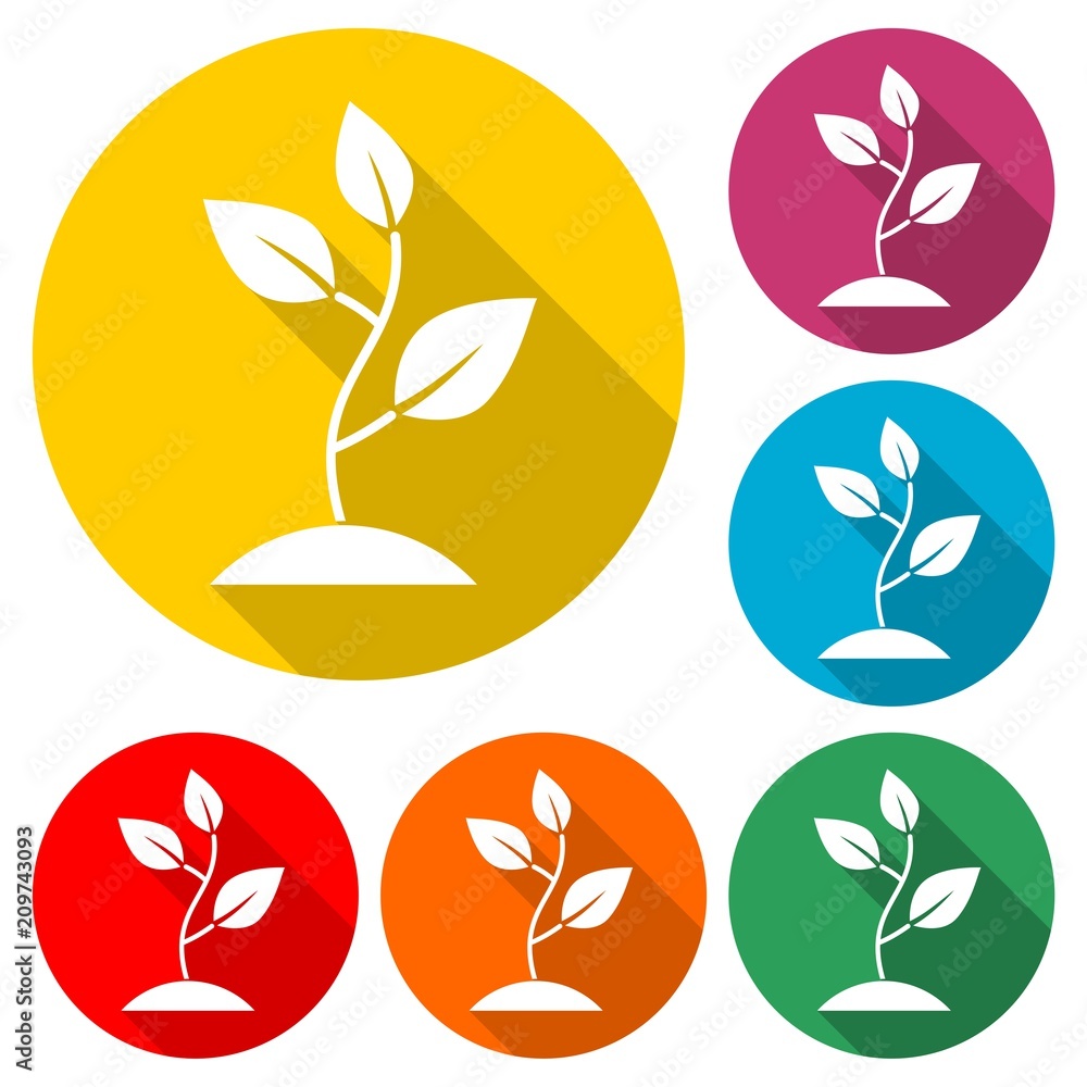 Plant sprout icon, Plant eco logo, color icon with long shadow Plant sprout icon, Plant eco logo, color icon with long shadow