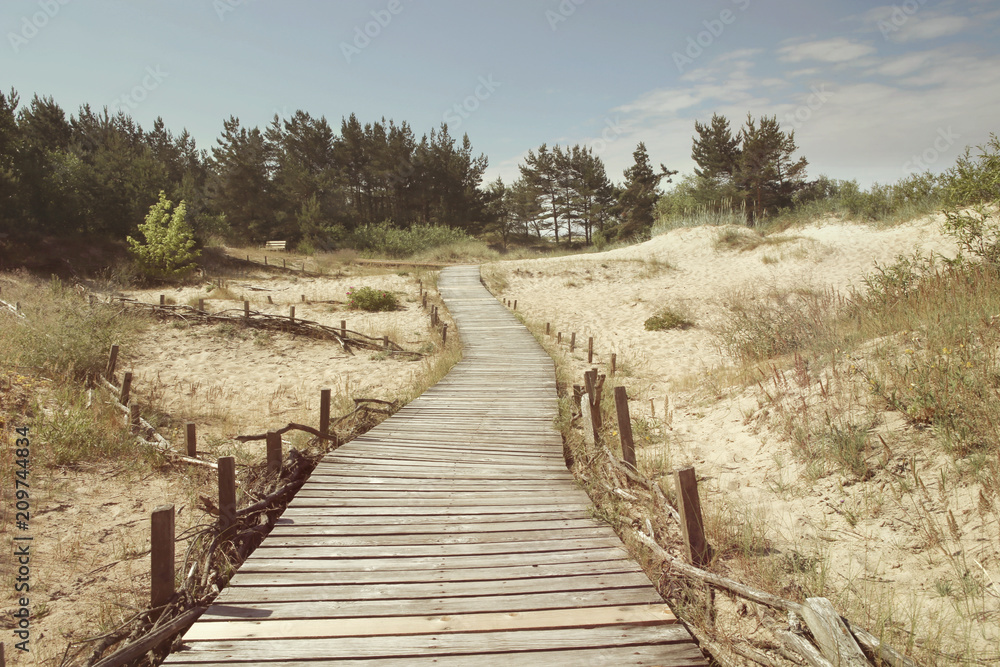 Dunes with wooden walkway over sand near Baltic sea. Board way over sand of beach dunes in Lithuania.