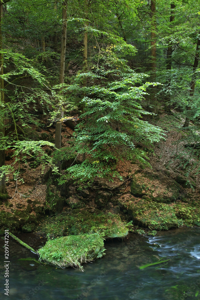 Kamenice river near Hrensko. Bohemia. Czech Republic Kamenice river near Hrensko. Bohemia. Czech Republic