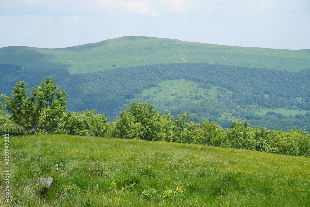 Obraz premium Bieszczady Mountains in Poland