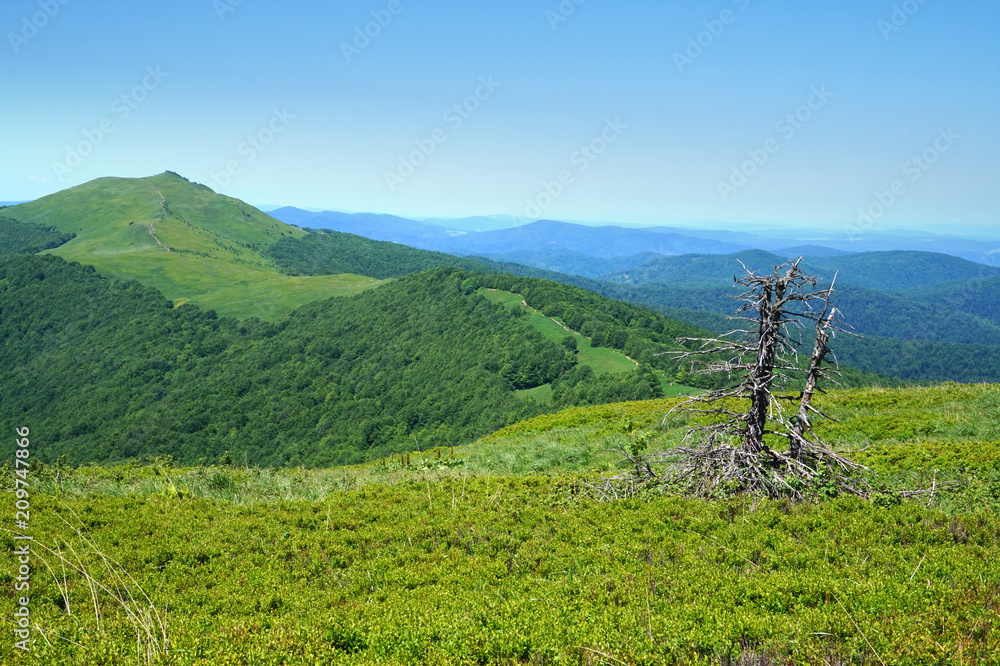 Obraz premium Bieszczady Mountains in Poland