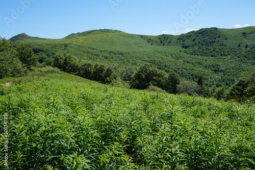 Bieszczady Mountains in Poland