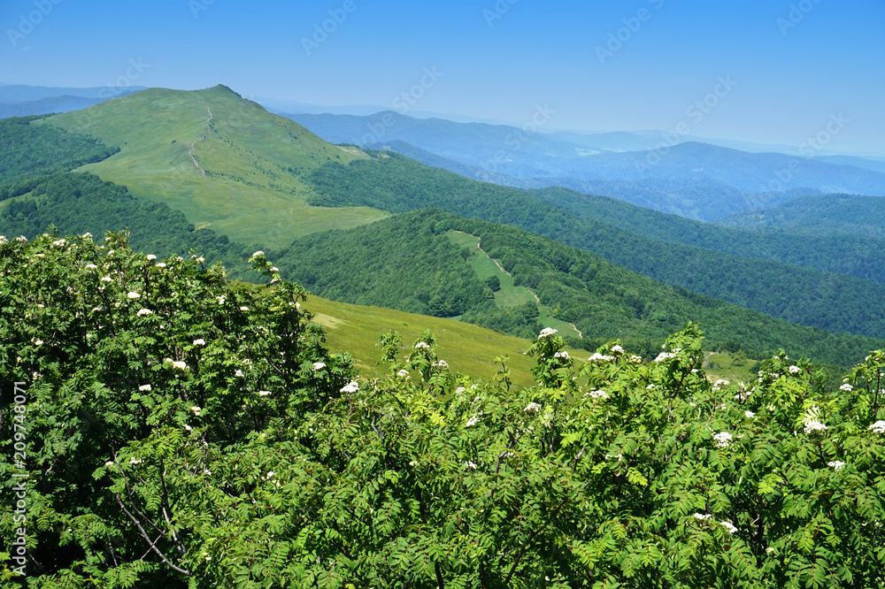 Obraz premium Bieszczady Mountains in Poland