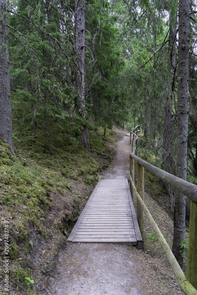 Obraz premium Outcrops of Taevaskoda on the Ahja river, Estonia Polva