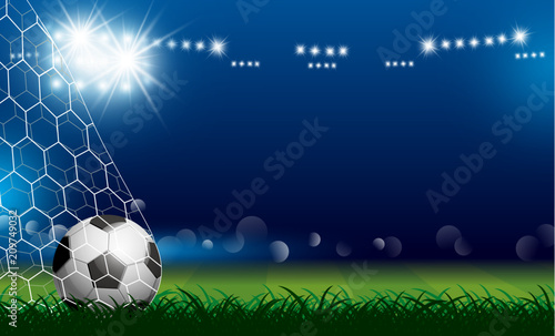 Soccer ball in goal on grass with spotlight vector illustration