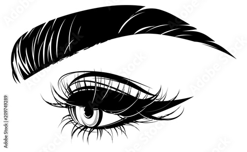 illustration of eye makeup and brow on white background