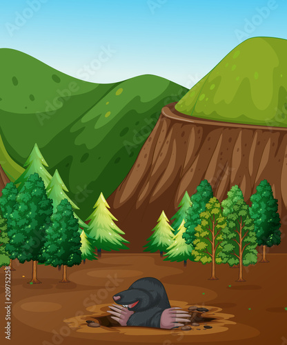 A Mole Digging the Ground