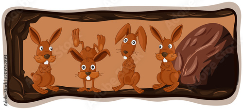 A Rabbit Family in Hole