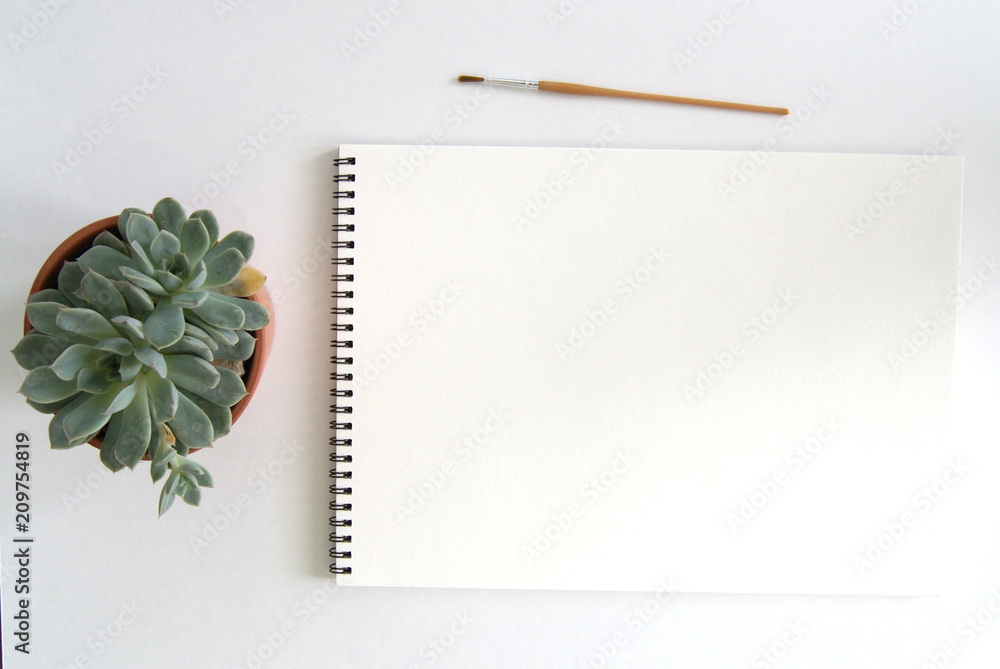 Blank Sketch Pad and Succulent Plant Blank Sketch Pad and Succulent Plant