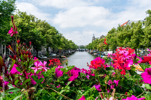 An Amsterdam canal view with flowers