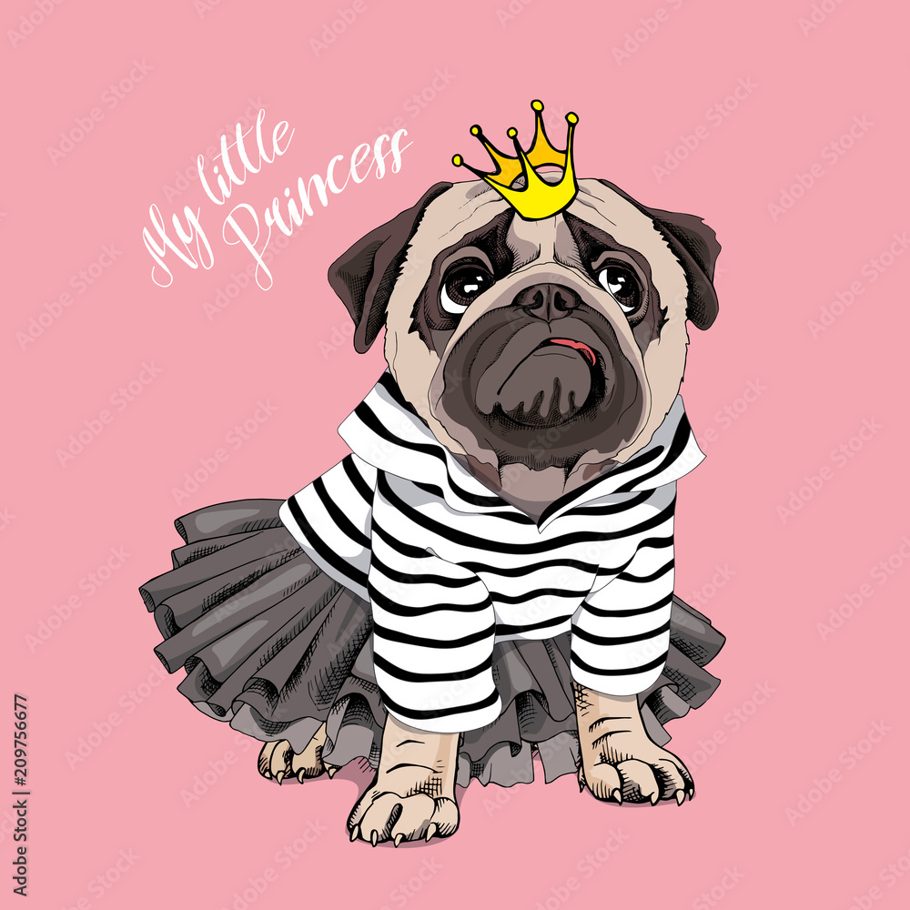 Birthday Pug Vector Images – Browse 27