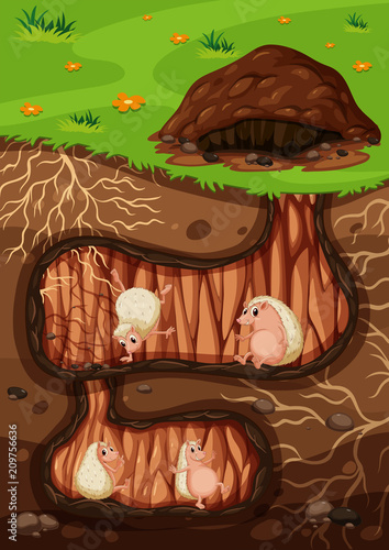 A Hedgehog Family Living Underground