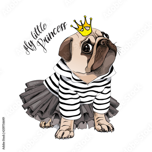 Pug Dog in a striped cardigan, in a black tutu skirt and with a gold princess crown. Vector illustration.