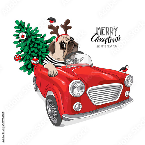 Christmas card. Pug Dog in a striped cardigan and in a Santa's deer mask inside of the red car. Vector illustration.