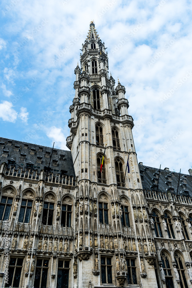 Obraz premium Hôtel de Ville de Bruxelles