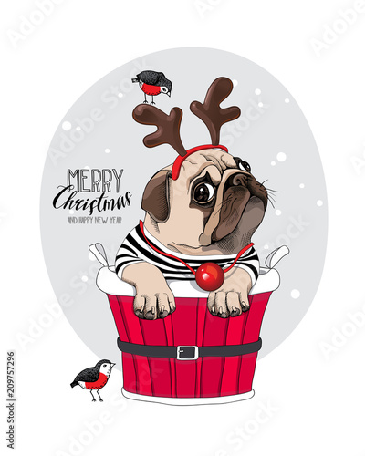 Christmas card. Pug Dog in a Santa's deer mask and with a funny red nose inside of a bucket. Vector illustration.