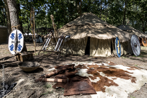 celtic camp near trees