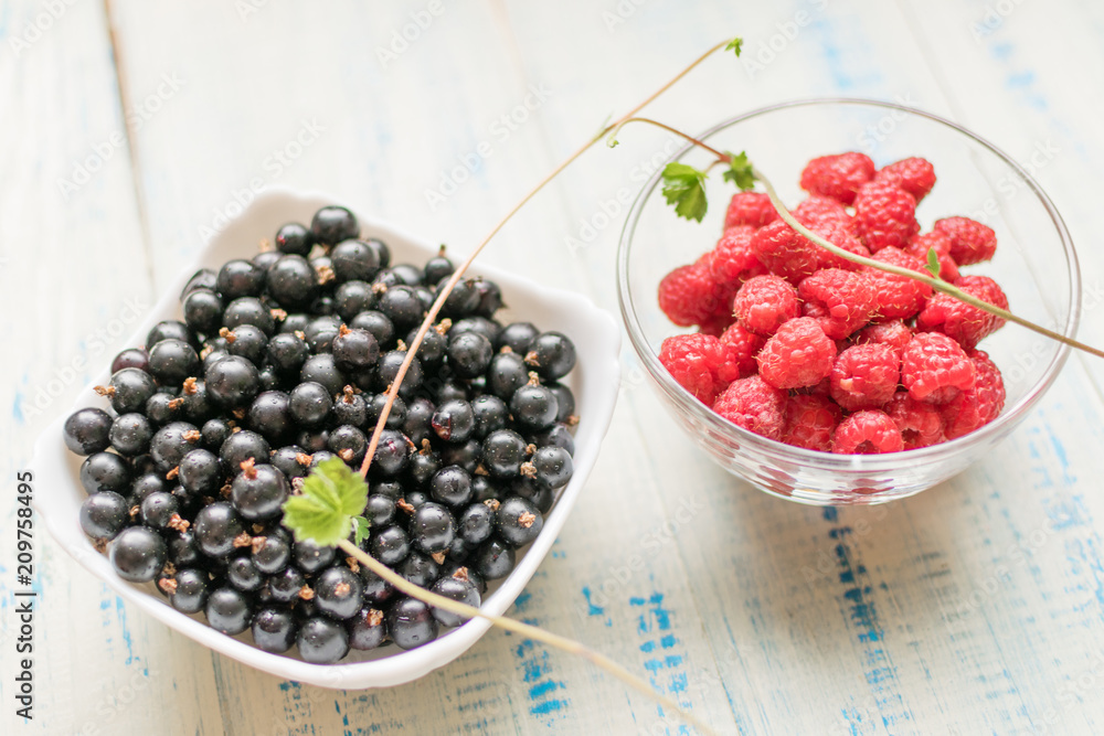 Berries of raspberries and black currants. Fresh summer berries in plates. Berries of raspberries and black currants. Fresh summer berries in plates.