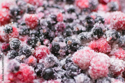 Fresh berries with sugar. Black currant and raspberries mixed for dessert.