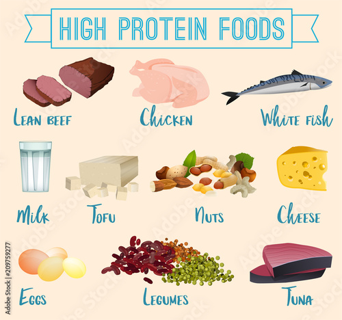 High protein foods set